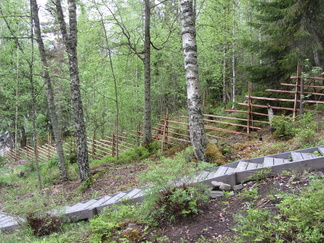 Riukuaitaa
